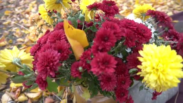 Slow Motion Czerwone Żółte Kwiaty Tle Jesiennego Parku — Wideo stockowe