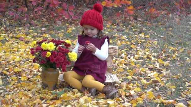 幼児の女の子とともに美しい秋の花束で花瓶に黄色の葉公園 — ストック動画