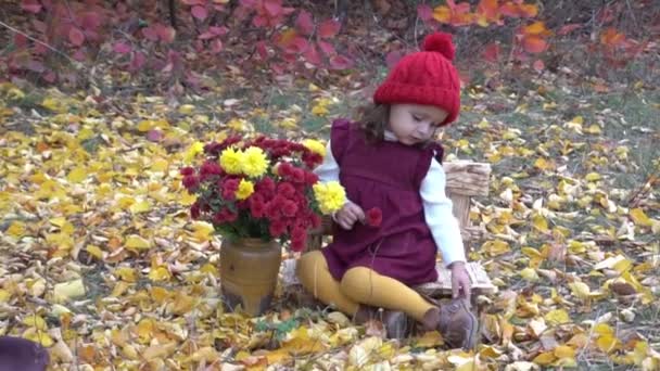 Hermosa Niña Sentada Cuadros Niño Aire Libre — Vídeo de stock