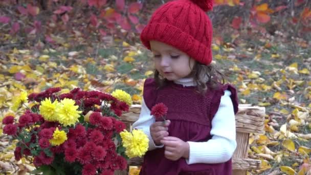 Slow Motion Dziewczynka Kwiatami Jesiennym Parku — Wideo stockowe