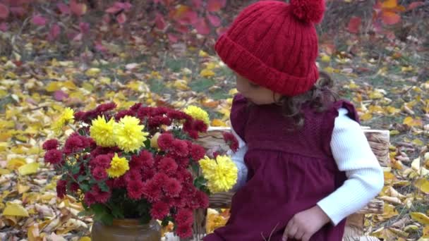 Slow Motion Little Child Sitting Autumn Park — Stockvideo