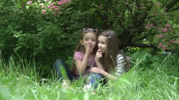 Children Friend Girls Playing Whispering Flowers Grass Vacations — Stock Video