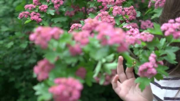 Slow Motion Portret Tegen Achtergrond Van Een Bloeiende Tak Van — Stockvideo