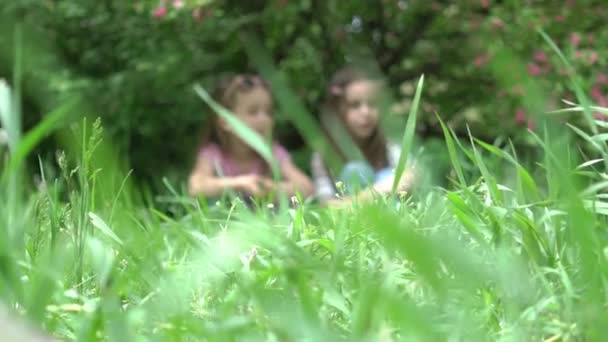 Slow Motion Two Little Sisters Having Fun Summer Park — Stock Video