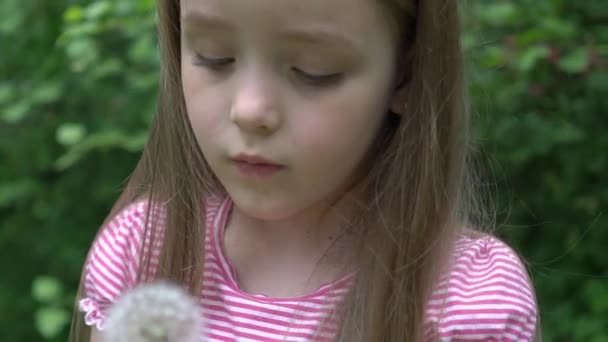 Prachtig Kind Met Paardebloem Het Voorjaarspark Gelukkig Kind Het Hebben — Stockvideo