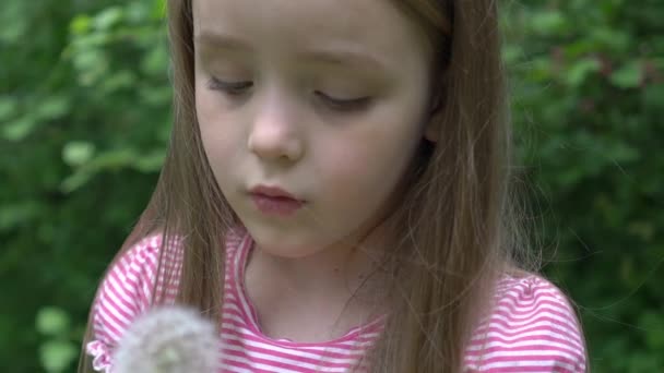 Αργή Κίνηση Κορίτσι Φυσάει Σπόρους Πικραλίδας Που Πετούν — Αρχείο Βίντεο