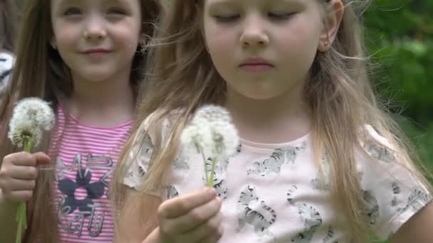 Klein Meisje Kind Schattig Mooi Met Een Bos Van Paardebloemen — Stockvideo