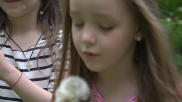 Медленное Движение Счастливый Ребенок Дующий Одуванчик Открытом Воздухе Весеннем Парке — стоковое видео