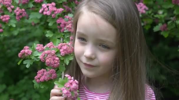 Niño Sosteniendo Flor Sakura Niños Aire Libre Hermoso Jardín Primavera — Vídeos de Stock