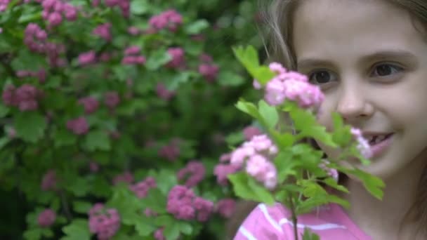 Niña Rizada Cámara Lenta Con Árbol Flores Primavera — Vídeos de Stock