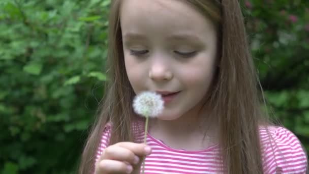 Weinig Krullend Meisje Waait Paardebloem — Stockvideo