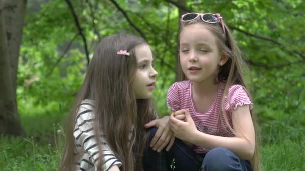 Slow Motion Niños Hermanas Niñas Susurrando Oído Prado Del Parque — Vídeo de stock