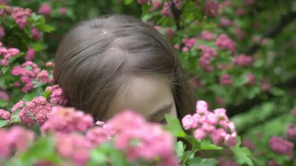 Porträt Eines Kleinen Schönen Mädchens Den Blumen Eines Blühenden Frühlingsbaums — Stockvideo