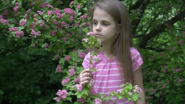 Portret Van Een Klein Meisje Een Park Onder Bloeiende Kersenboom — Stockvideo