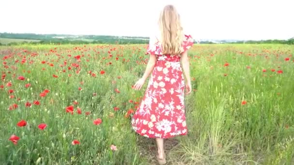 Slow Motion Beautiful Young Girl Dress Hat Walks Field Flowering – Stock-video