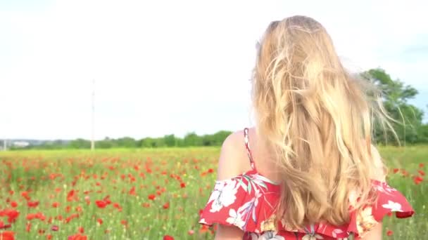 穿着衣服戴着帽子的年轻貌美的姑娘走在开花结果的田野里 — 图库视频影像