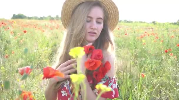 Piękna Młoda Dziewczyna Sukience Kapeluszu Spaceruje Polu Kwitnących Maków — Wideo stockowe