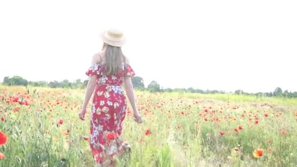 快乐的小女孩在红罂粟地里散步 消磨着时间 度过夏天 — 图库视频影像