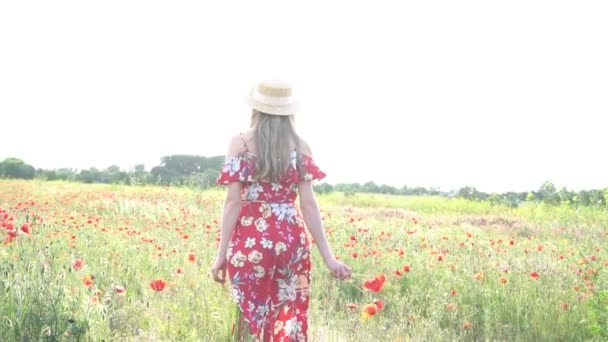 罂粟田里的美女罂粟芬里一个可爱的黑发女孩的画像 — 图库视频影像