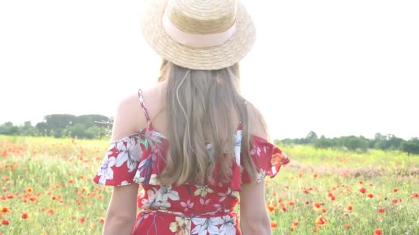 Slow Motion Closeup Girl Boater Field Red Poppies Girl Look — ストック動画