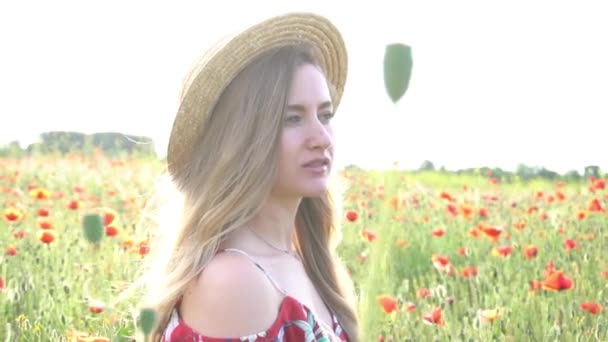 Slow Motion Young Woman Poppy Field — Vídeos de Stock