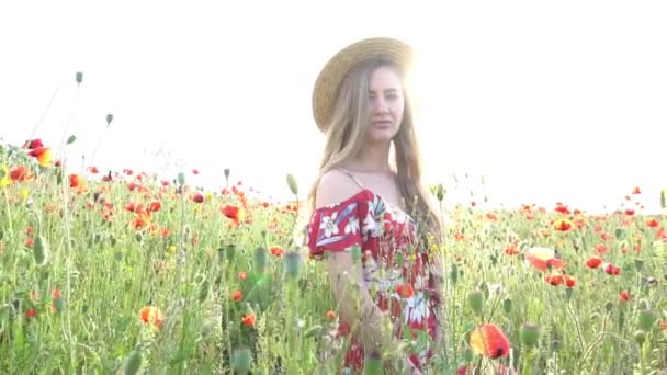 Eski Tarz Kızıl Saçlı Kız Haşhaş Tarlasında Güzel Doğa Manzara — Stok video
