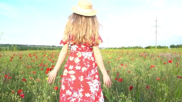 Красива Молода Дівчина Сукні Капелюсі Гуляє Полі Квітучих Маків Подібний — стокове відео
