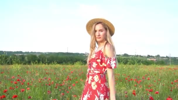 Junge Schöne Frau Auf Einem Getreidefeld Mit Mohn Einem Sonnigen — Stockvideo