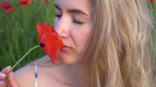 Slow Motion Beautiful Girl Field Sniffing Poppy Flower — Stock Video