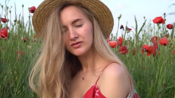 Slow Motion Portrait Beautiful Teenage Girl Field Wild Poppies — Stock Video