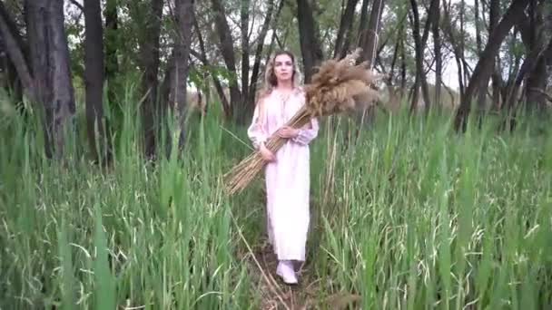 Beautiful Young Woman Holding Dried Out Plant — Stock Video