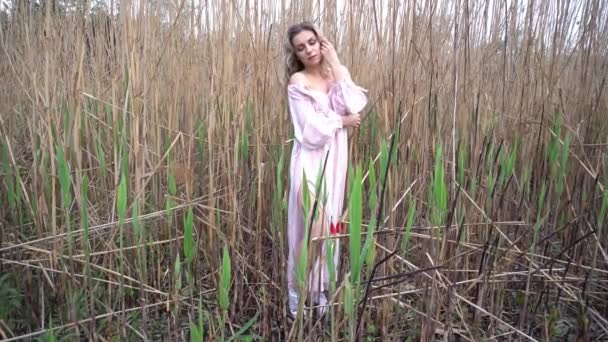 Модна Дівчина Стильній Літній Сукні Відчуває Себе Вільно Полі — стокове відео