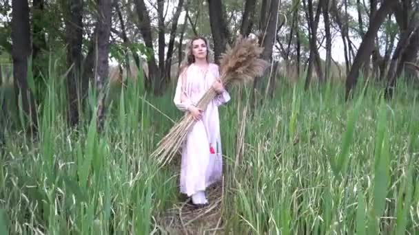 Zbliżenie Pięknej Pani Trzyma Suchą Trawę Polną — Wideo stockowe