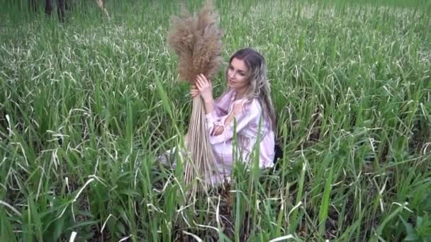 Beautiful Blonde Girl Field She Holds Yellow Tall Dry Grass — Stock Video