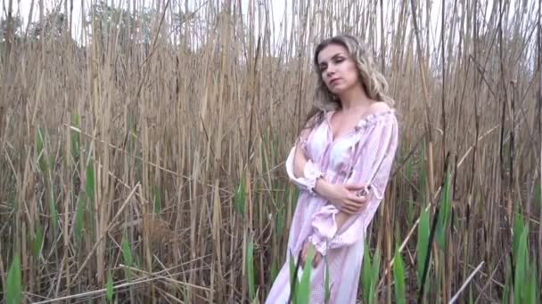 Slow Motion Bella Ragazza Campo Estivo — Video Stock