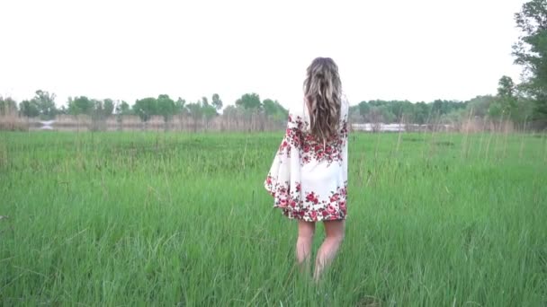 Piękna Młoda Kobieta Stojąca Zielonym Polu — Wideo stockowe