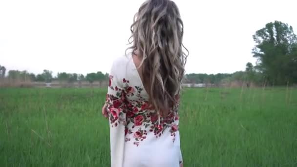 一个穿着绣花传统乌克兰民族服装的女孩在田里 — 图库视频影像