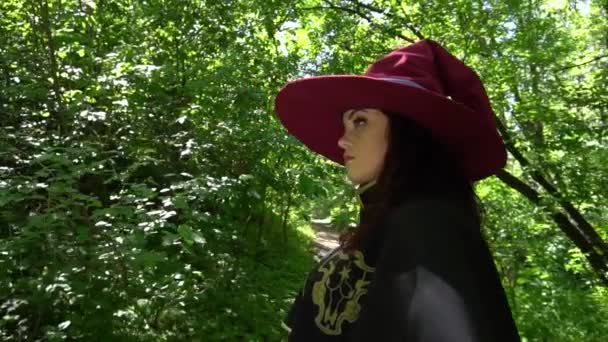 Slow Motion Beautiful Witch Hat Woods — Stockvideo