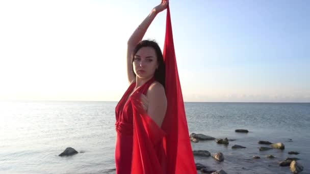 Slow Motion Beautiful Free Woman Red Dress Wind Sea Beach — Video