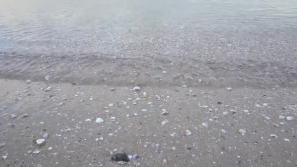 Slow Motion Crystalline Waters — Stock Video