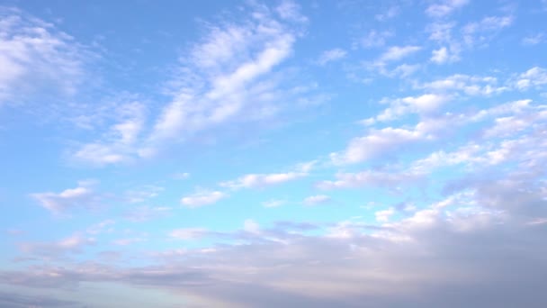 青い海と青い空を背景 — ストック動画