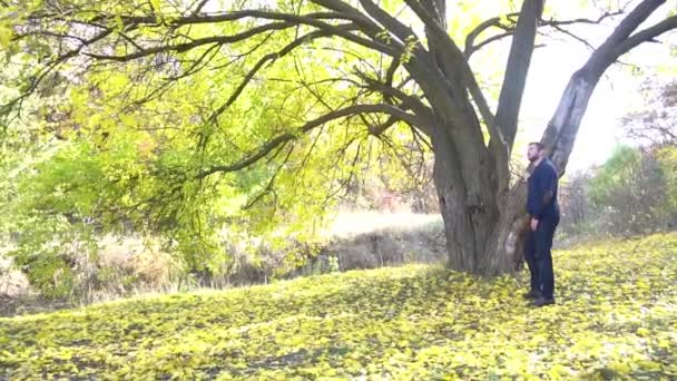 Schöner Mann Posiert Herbstpark — Stockvideo