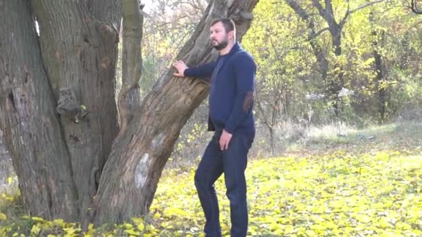 Portrait Man Posing Autumn Park — Video
