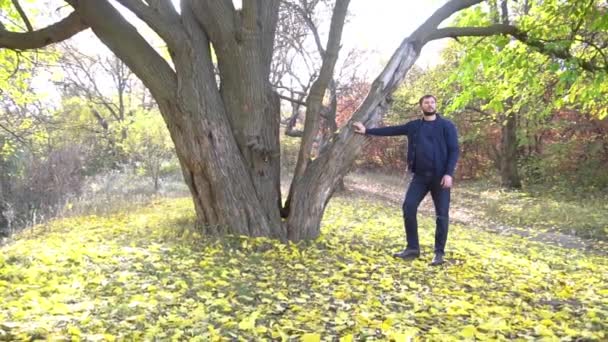 Slow Motion One Handsome Man Autumn — Stockvideo