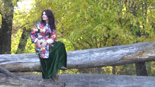 Slow Motion Woman Autumn Park Autumn Park — Video