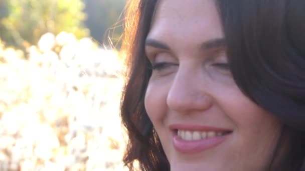 Woman Fields Fluffy Dandelions Sunset — Stock Video