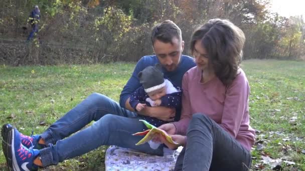 一家人在一起野餐 家庭在阳光明媚的日子野餐 — 图库视频影像
