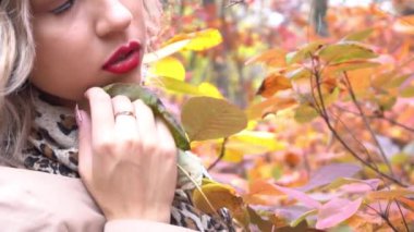 Slow Motion Autumn kadını sonbahar parkında. Sıcak güneşli hava. Sonbahar kavramı