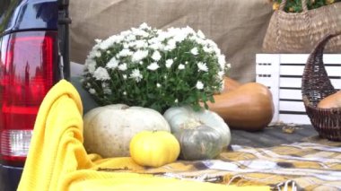 Yavaş Hareketli Balkabağı, bir sepet çiçeğin yanında. Elmalar arabada. sonbahar konsepti.