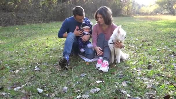 Happy Parents Have Fun Son Forest Next Dog Autumn Forest — Stok video